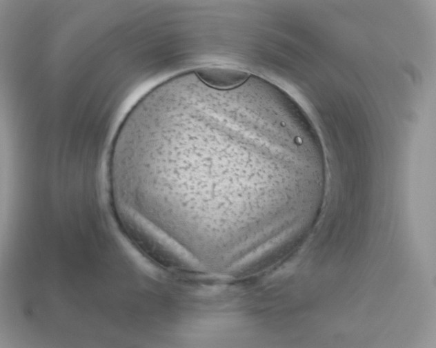 X0000113021056200909101834