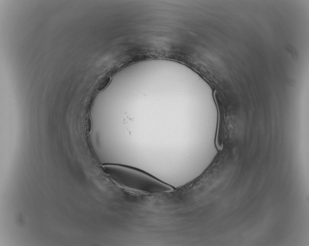 X0000113021057200909101833