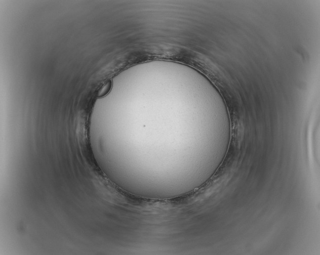 X0000113021058200909101833