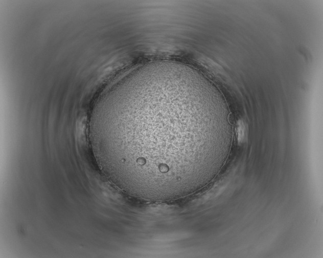 X0000113021059200909101833