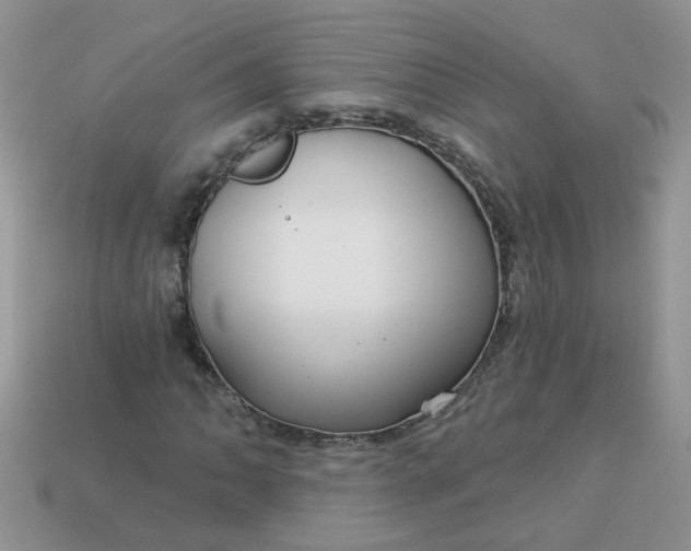 X0000113021062200909101833