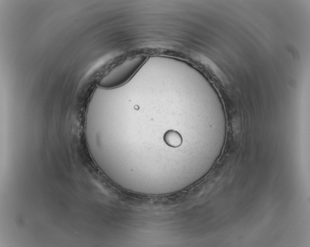 X0000113021064200909101833