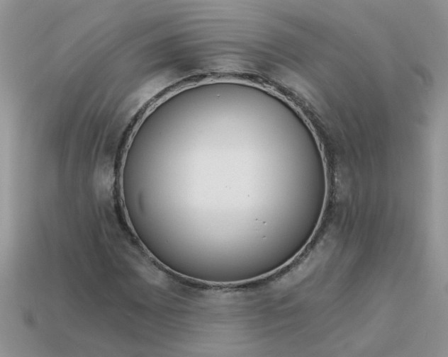 X0000113021065200909101833