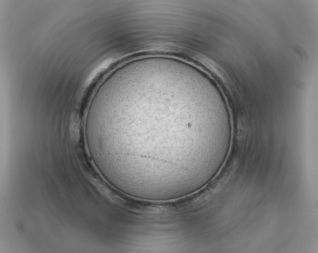 X0000113021067200909101833