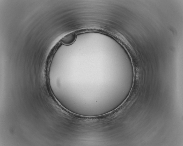 X0000113021068200909101833