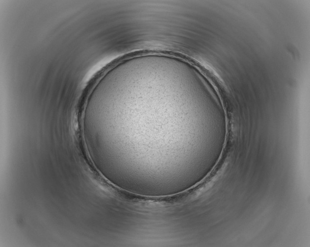 X0000113021070200909101833