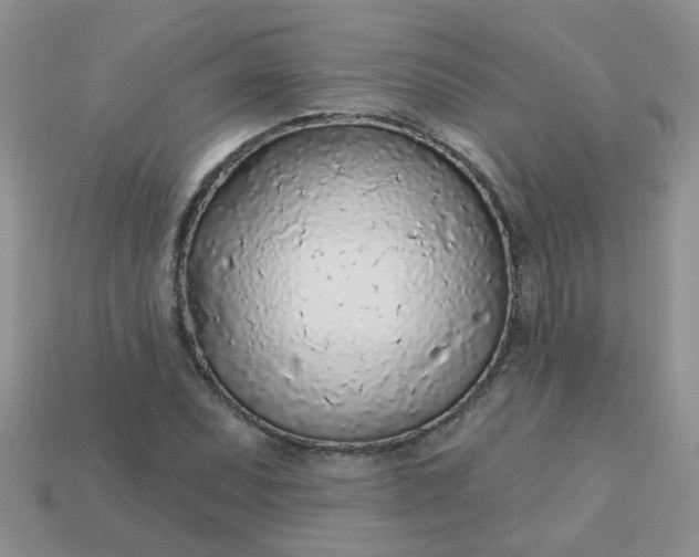 X0000113021071200909101833