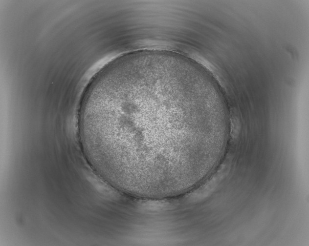 X0000113021074200909101833