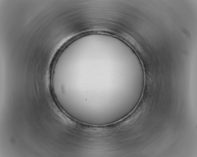 X0000113021076200909101833