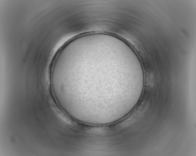 X0000113021078200909101833