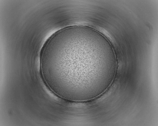 X0000113021079200909101833