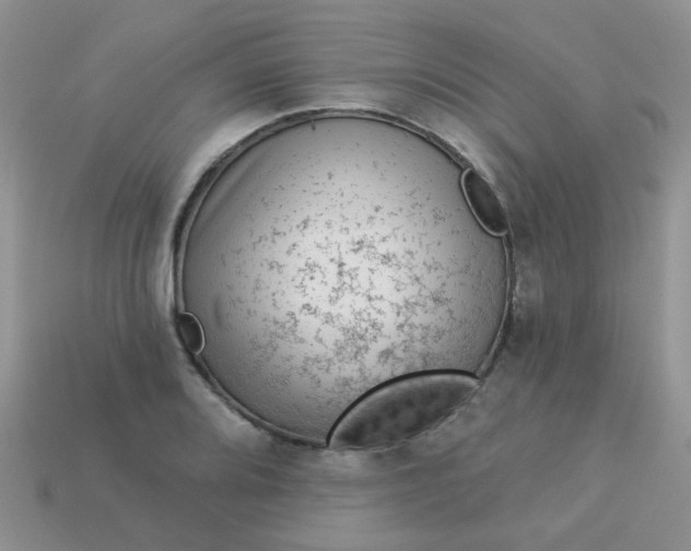 X0000113021080200909101833