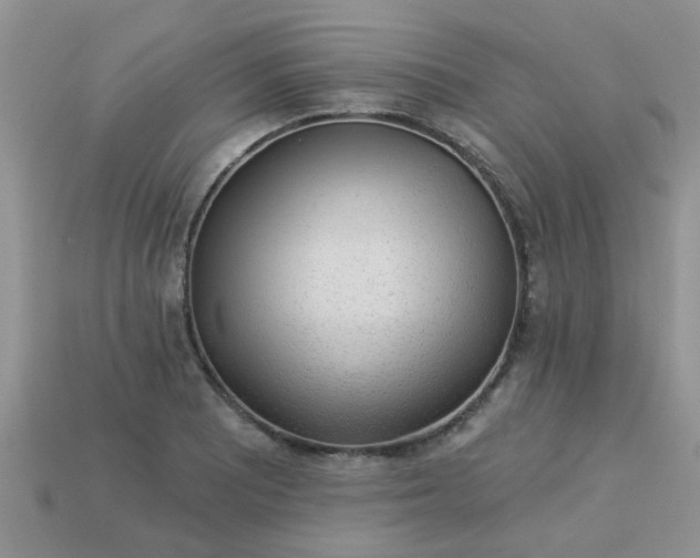 X0000113021081200909101833