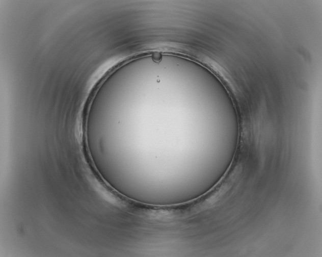 X0000113021082200909101833