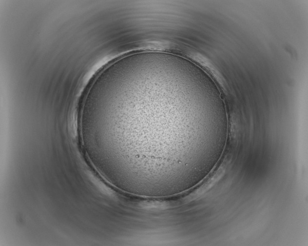 X0000113021083200909101833
