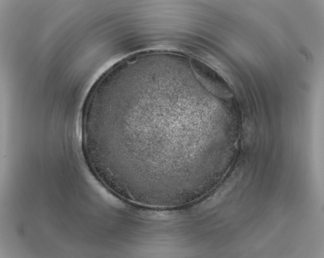 X0000113021084200909101833