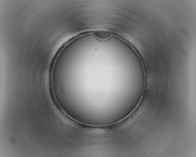 X0000113021085200909101833