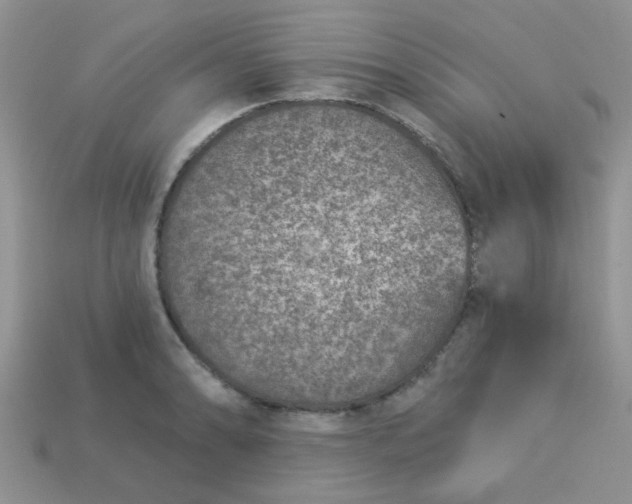 X0000113021086200909101833