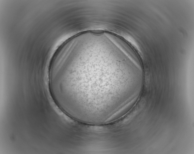 X0000113021088200909101833