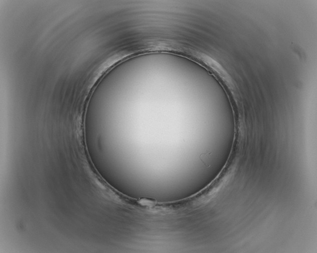 X0000113021089200909101833