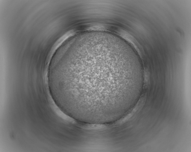 X0000113021090200909101833