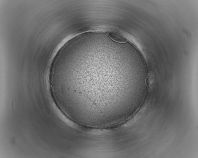 X0000113021091200909101833