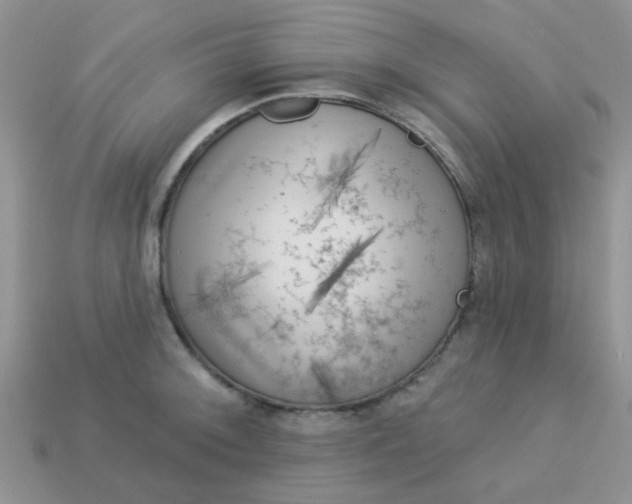X0000113021092200909101833