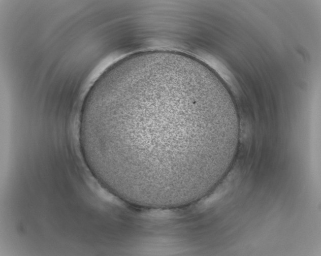 X0000113021094200909101833