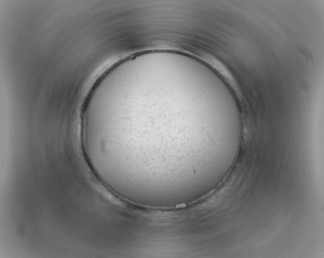 X0000113021096200909101833