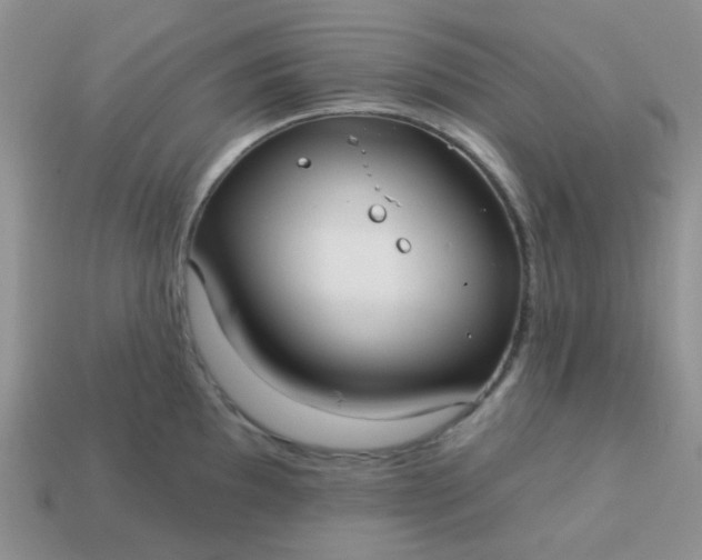 X0000113021097200909101833