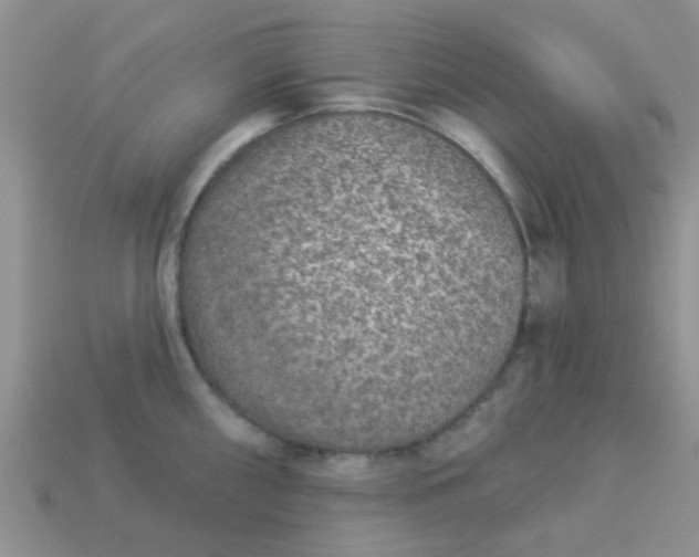 X0000113021098200909101833