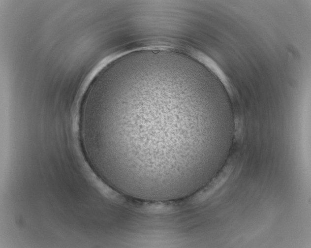 X0000113021099200909101833