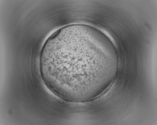 X0000113021100200909101833