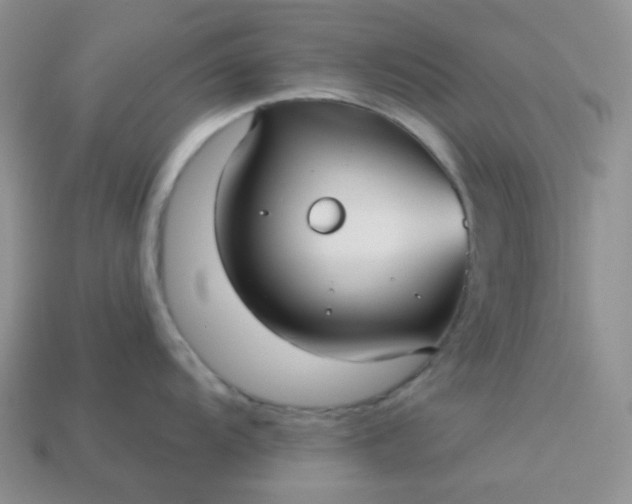X0000113021104200909101832