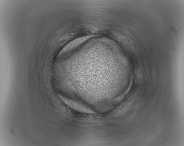 X0000113021105200909101832