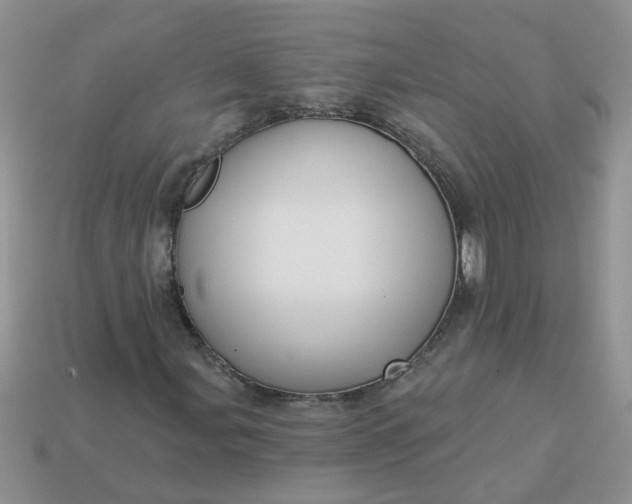 X0000113021107200909101832
