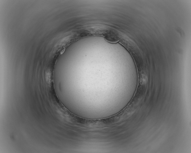 X0000113021108200909101832