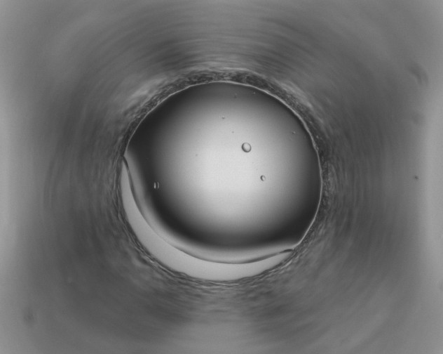X0000113021110200909101832
