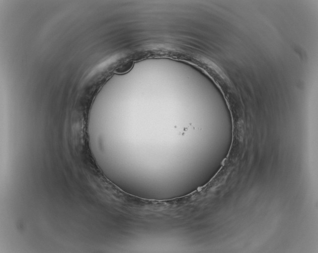 X0000113021111200909101832