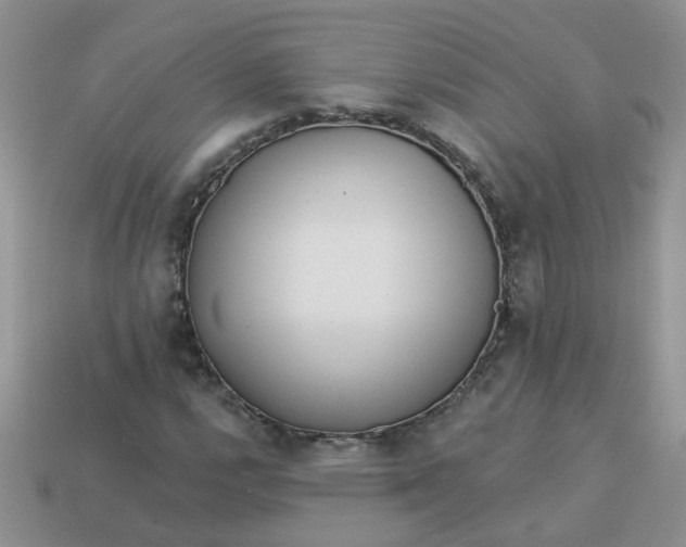 X0000113021112200909101832