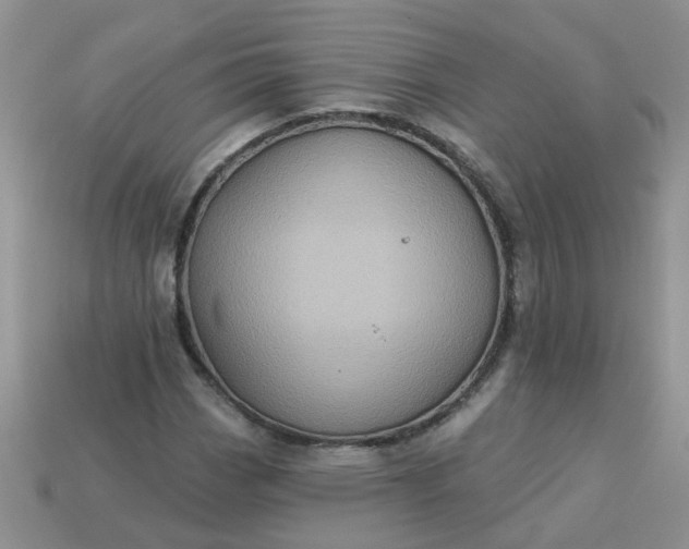 X0000113021113200909101832