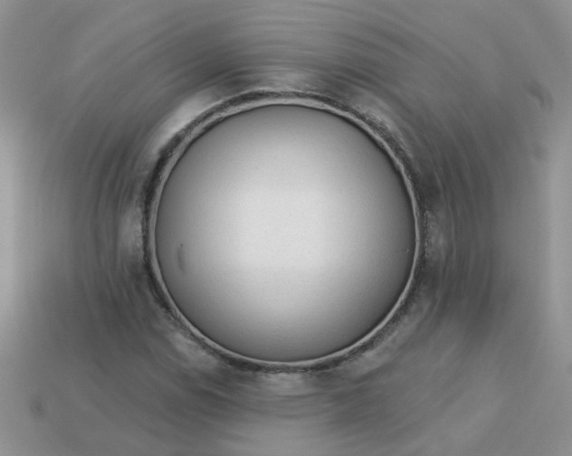 X0000113021114200909101832