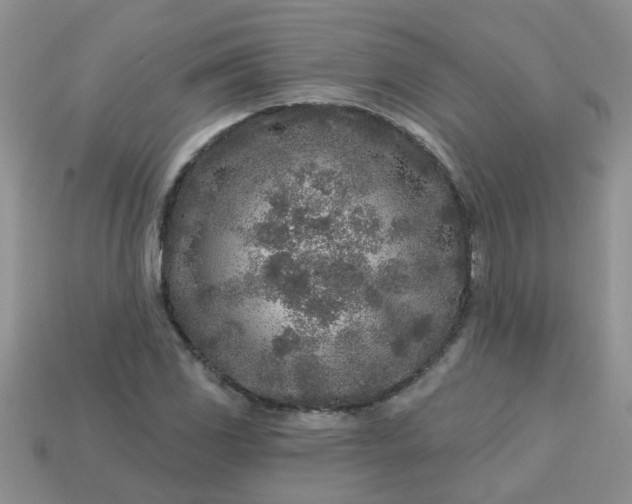 X0000113021117200909101832