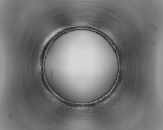 X0000113021118200909101832