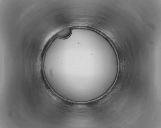 X0000113021119200909101832