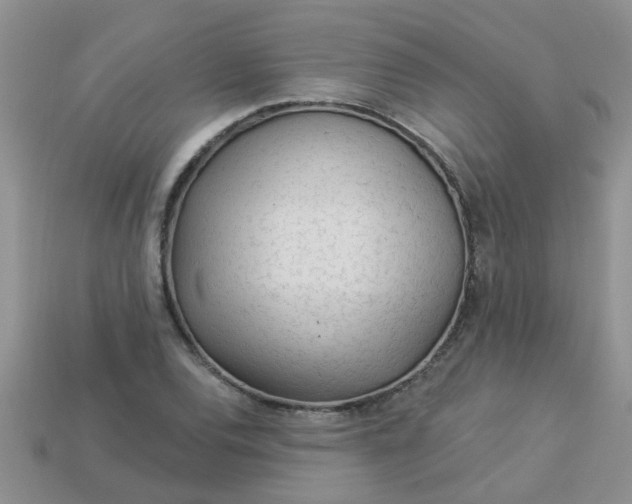 X0000113021120200909101832