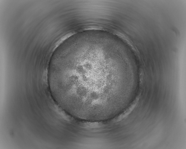 X0000113021121200909101832