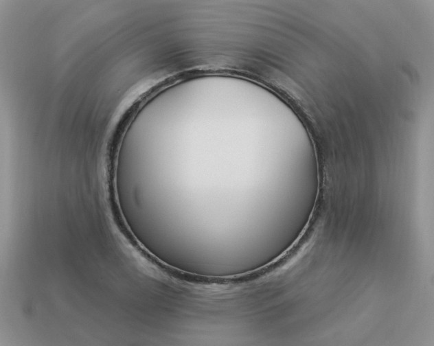 X0000113021122200909101832