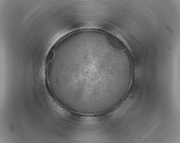 X0000113021124200909101832