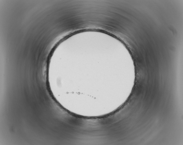 X0000113021126200909101832